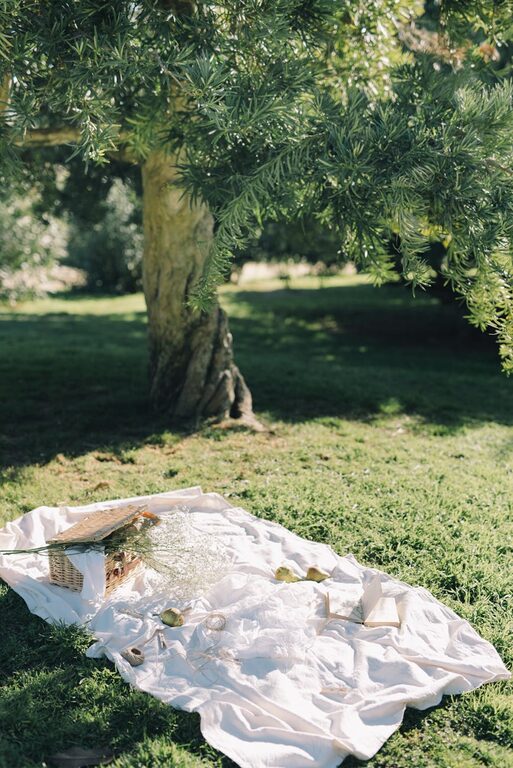 How to Plan a Simple Picnic at a Local Park